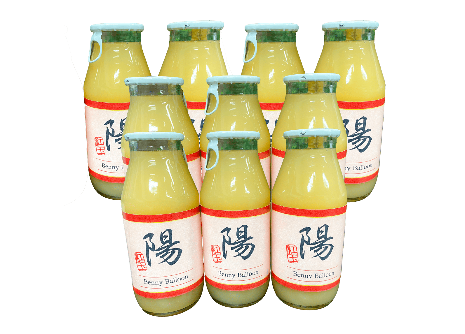 紅玉りんごジュース『陽』～天然100%～10本入りセット